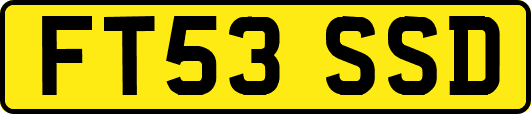 FT53SSD