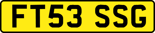 FT53SSG