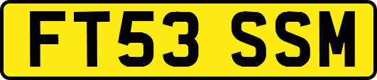 FT53SSM