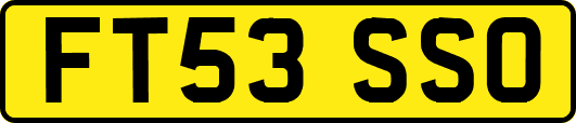 FT53SSO