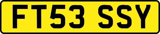 FT53SSY