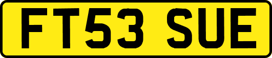 FT53SUE