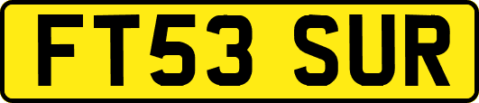 FT53SUR