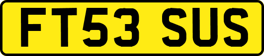 FT53SUS
