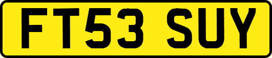 FT53SUY