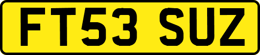 FT53SUZ