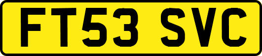 FT53SVC