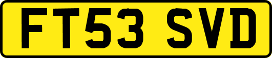 FT53SVD