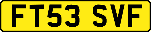 FT53SVF