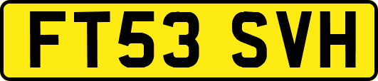 FT53SVH