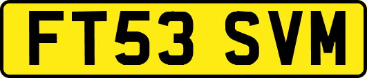 FT53SVM