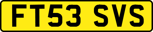 FT53SVS