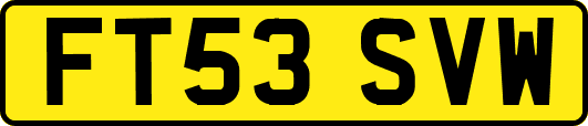 FT53SVW