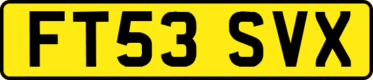 FT53SVX
