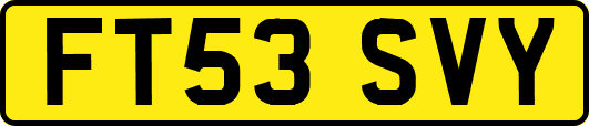 FT53SVY
