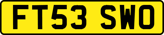 FT53SWO