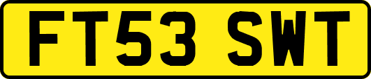 FT53SWT