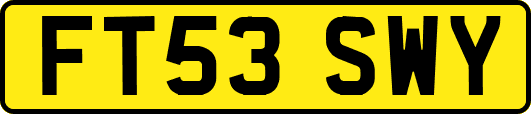 FT53SWY