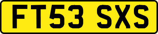 FT53SXS