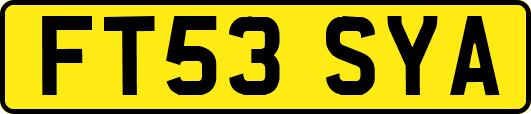 FT53SYA