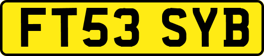 FT53SYB