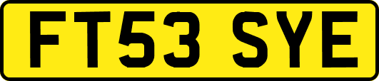 FT53SYE