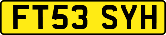 FT53SYH
