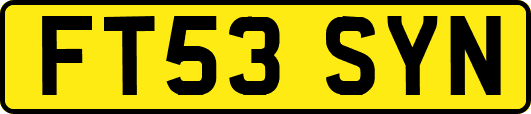 FT53SYN