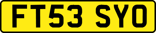FT53SYO