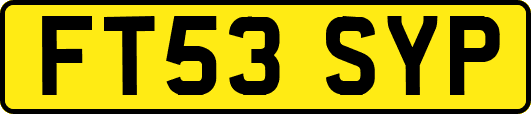 FT53SYP