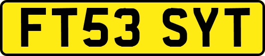 FT53SYT