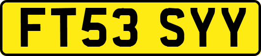 FT53SYY