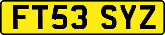 FT53SYZ