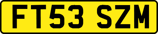 FT53SZM