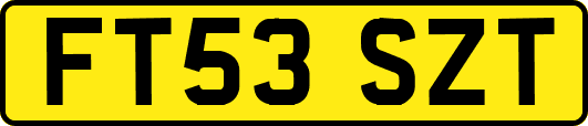 FT53SZT