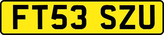 FT53SZU