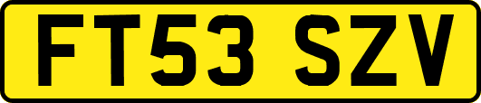 FT53SZV