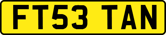 FT53TAN
