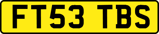 FT53TBS