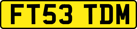 FT53TDM