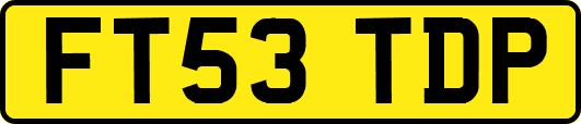 FT53TDP
