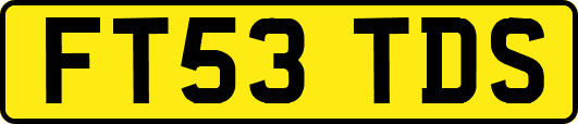 FT53TDS