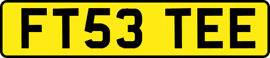 FT53TEE
