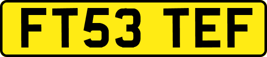FT53TEF