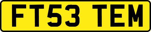 FT53TEM