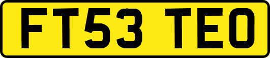 FT53TEO