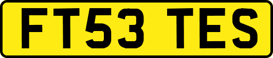 FT53TES