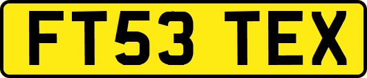 FT53TEX