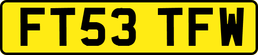 FT53TFW