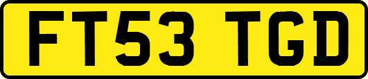 FT53TGD